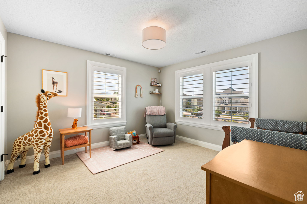 Office space featuring light carpet and a textured ceiling