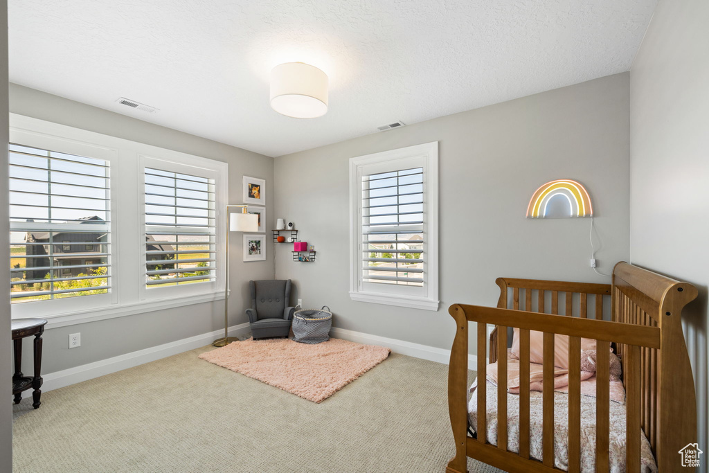 Carpeted bedroom with a nursery area