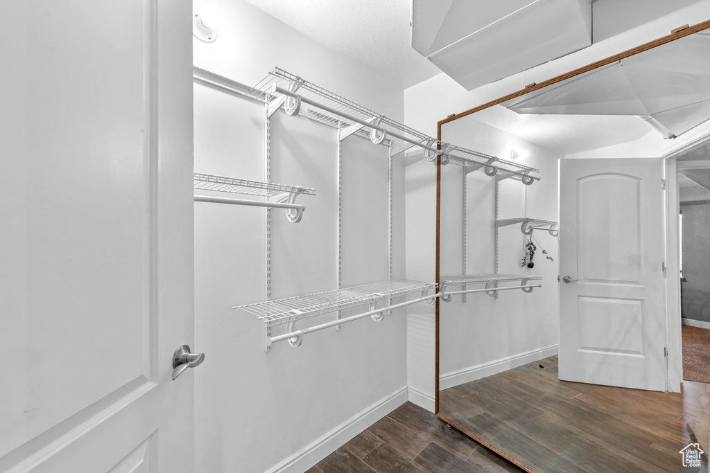 Spacious closet with wood-type flooring