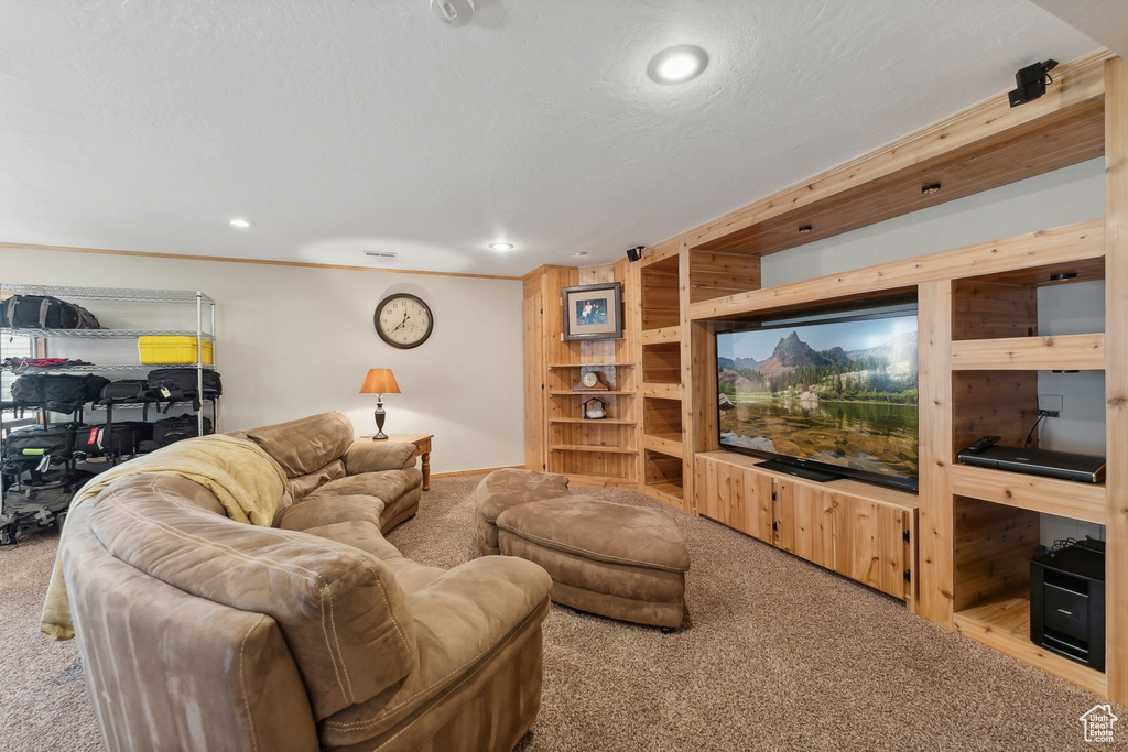 Carpeted living room featuring wooden walls