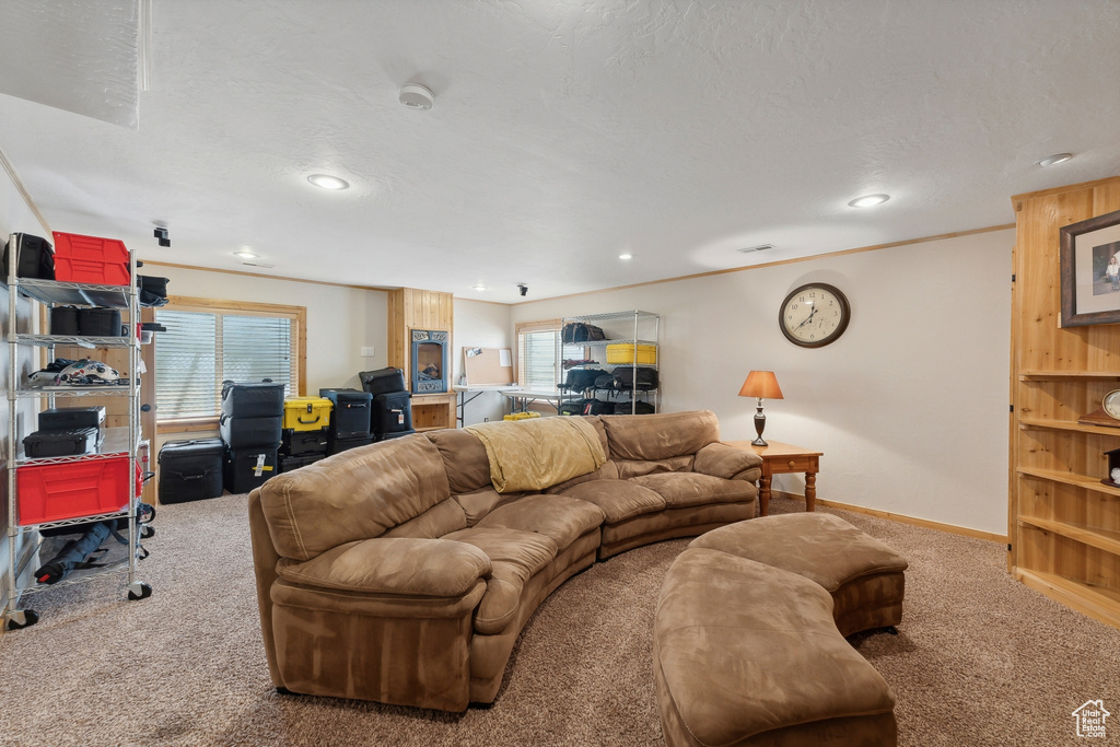 Living room with plenty of natural light and carpet floors