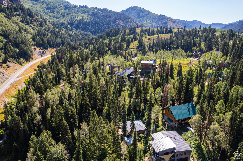 Aerial view with a mountain view