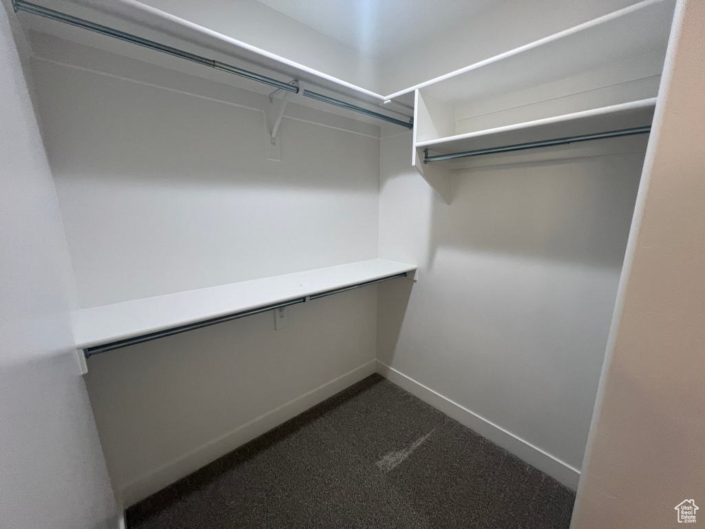 Walk in closet with carpet flooring