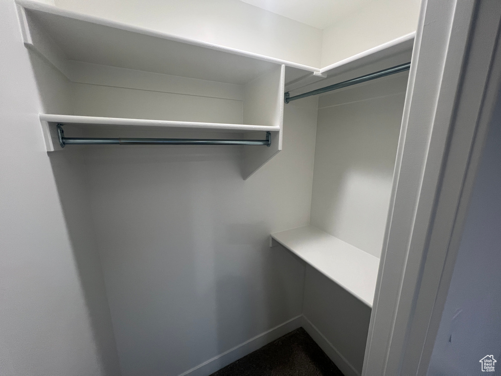 Spacious closet featuring dark colored carpet