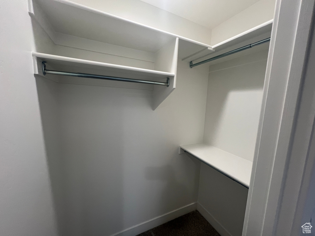 Spacious closet with dark colored carpet