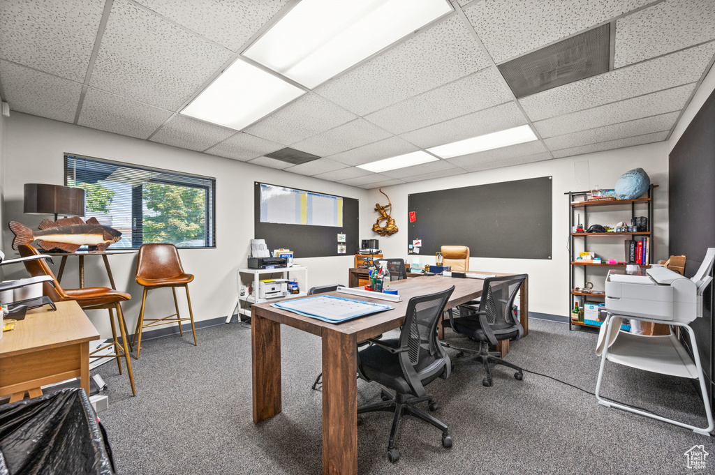 Carpeted office space with a paneled ceiling