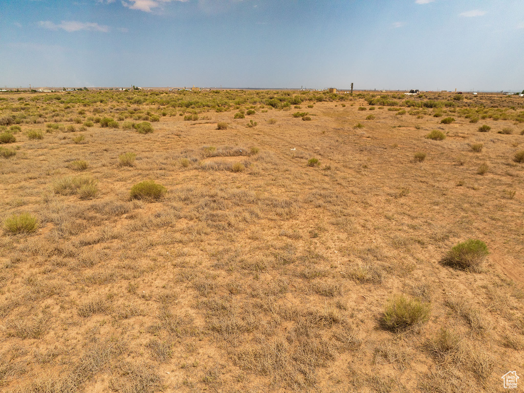 View of local wilderness