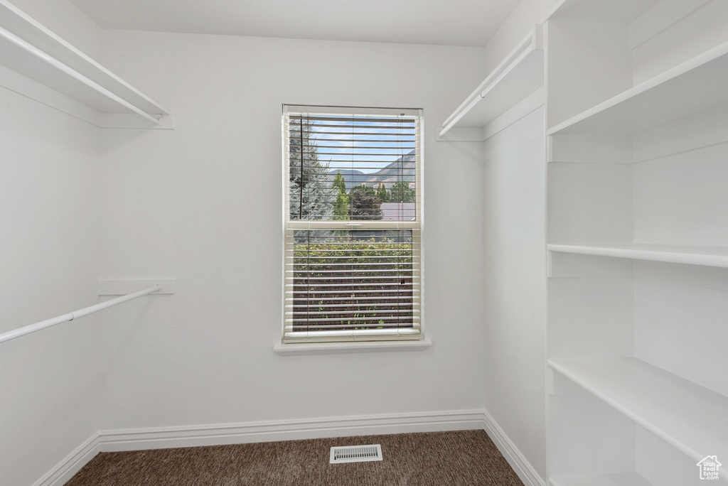 Spacious closet featuring carpet