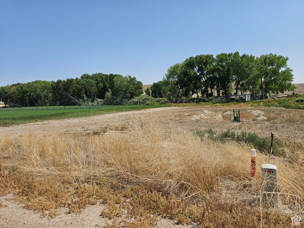 View of local wilderness featuring a rural view