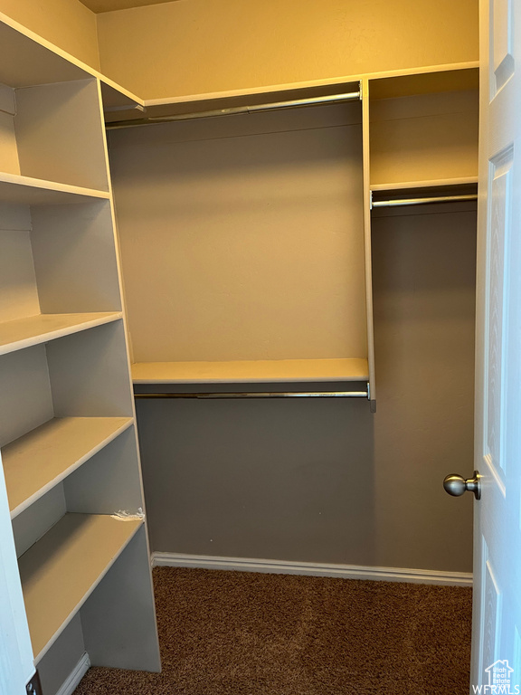 Spacious closet featuring carpet