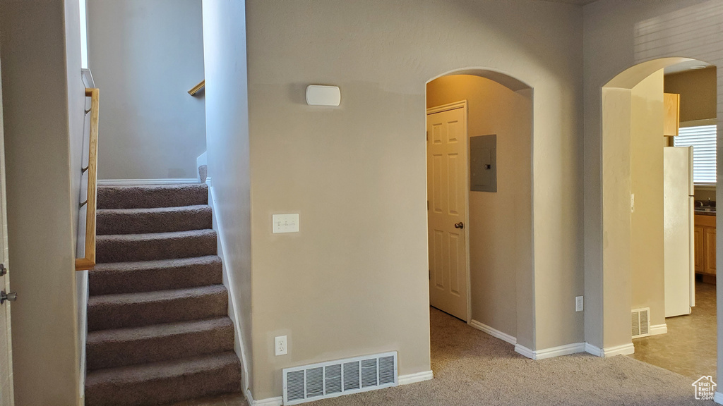 Stairway featuring carpet floors and electric panel