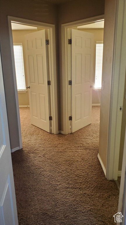 Hallway with carpet floors and a wealth of natural light