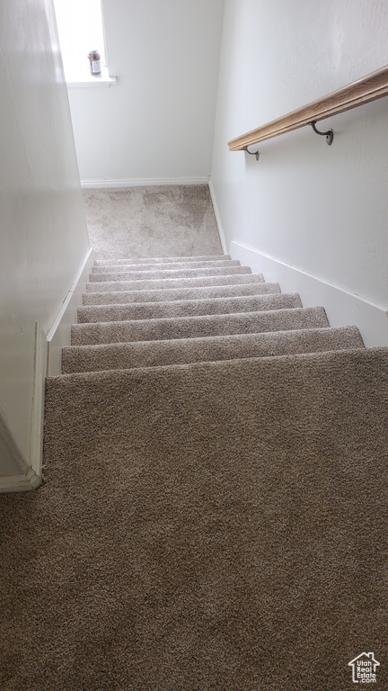 Staircase featuring carpet flooring