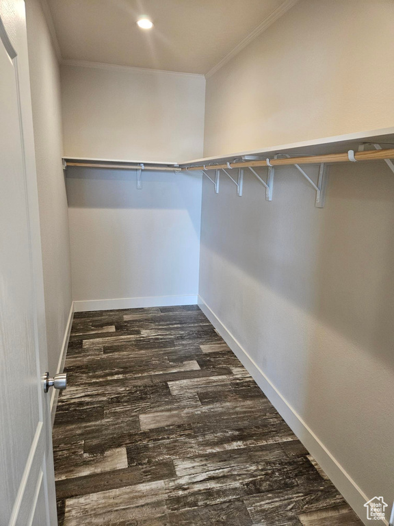 Walk in closet featuring wood-type flooring