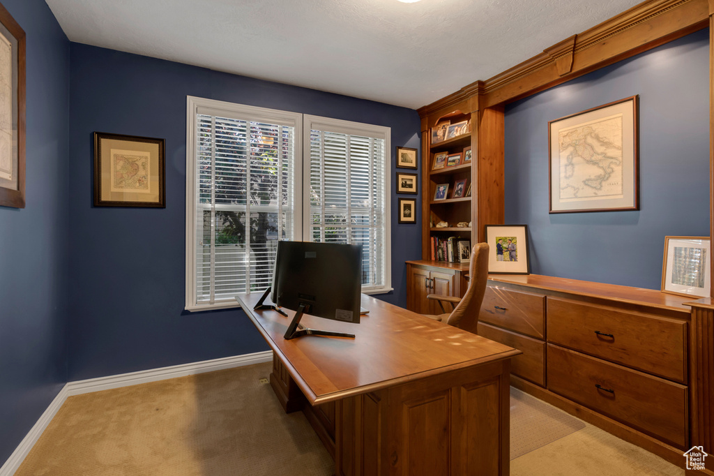 Carpeted home office with built in features