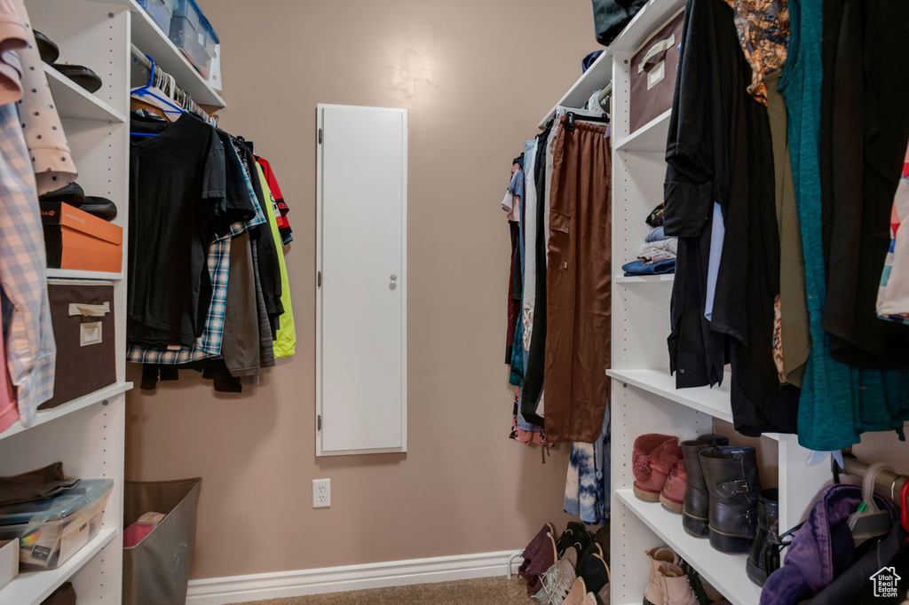 Walk in closet with carpet floors