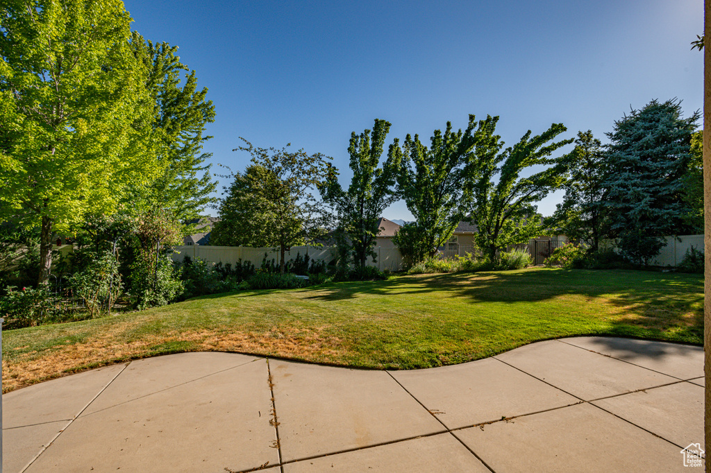 View of yard featuring a patio area