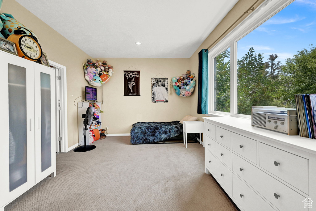 Living area with light colored carpet