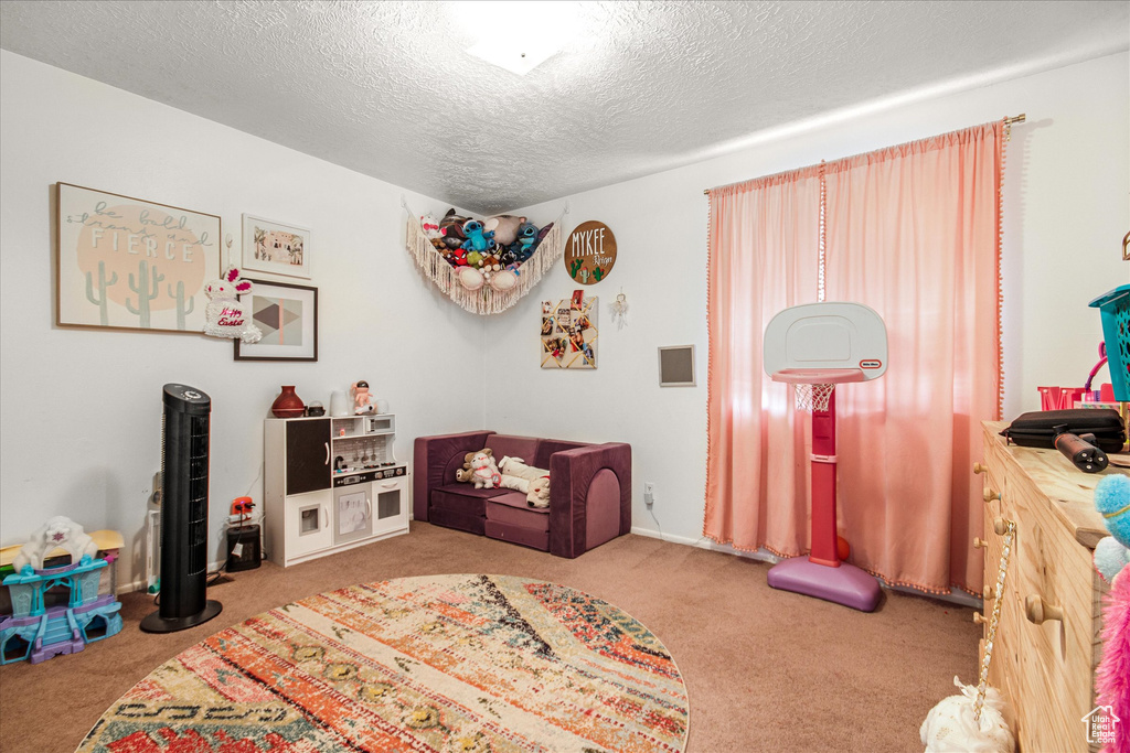 Interior space featuring carpet flooring and a textured ceiling