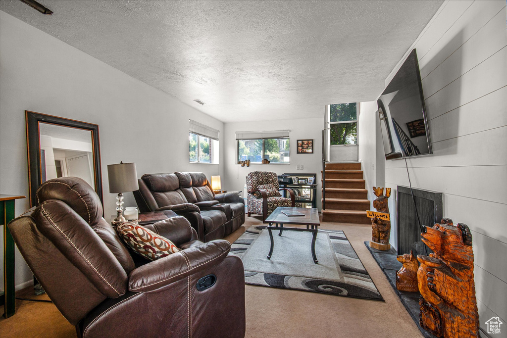 Carpeted living room with a textured ceiling