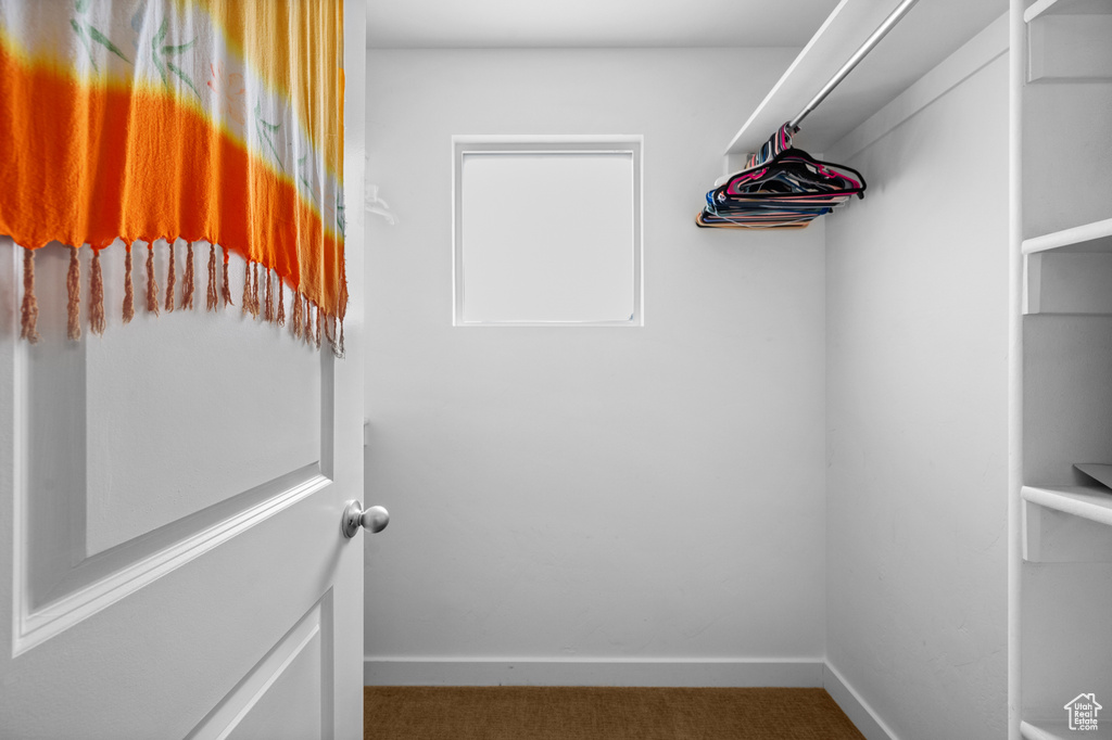 Walk in closet with carpet flooring