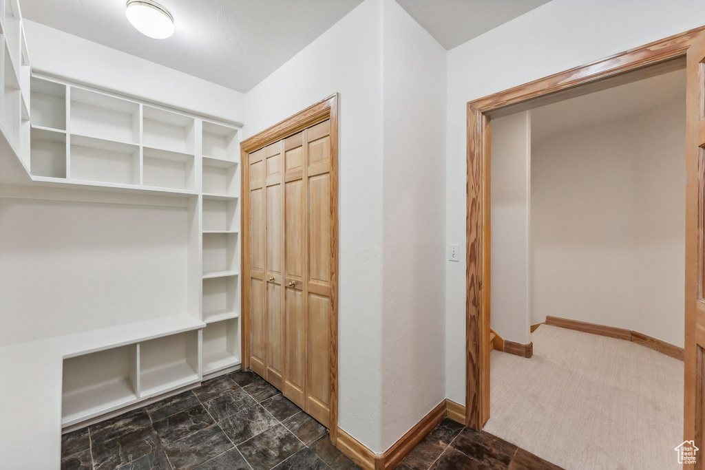 Spacious closet with dark colored carpet