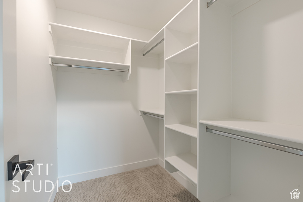 Spacious closet featuring light carpet