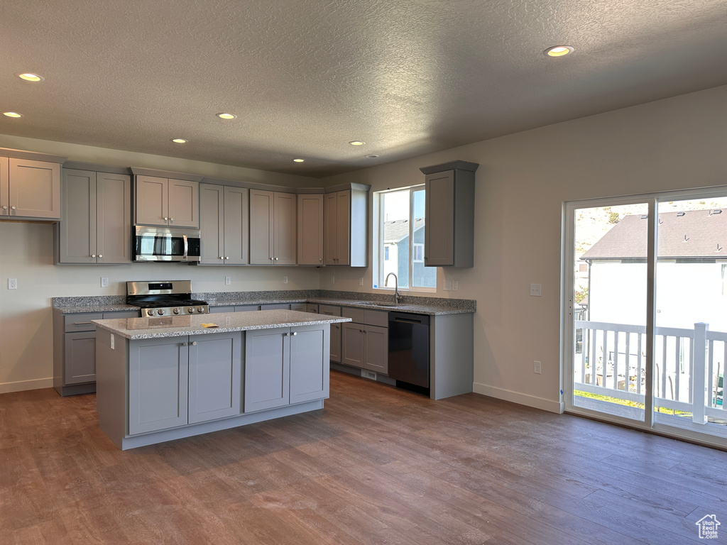 Kitchen with gray cabinets, a wealth of natural light, stainless steel appliances, and a kitchen island