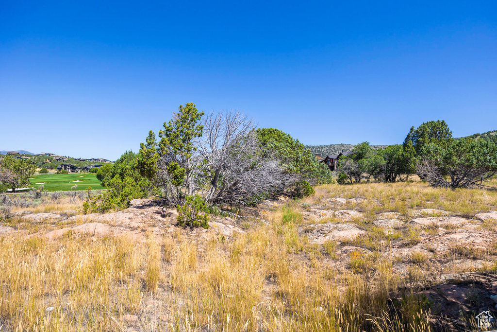 View of nature