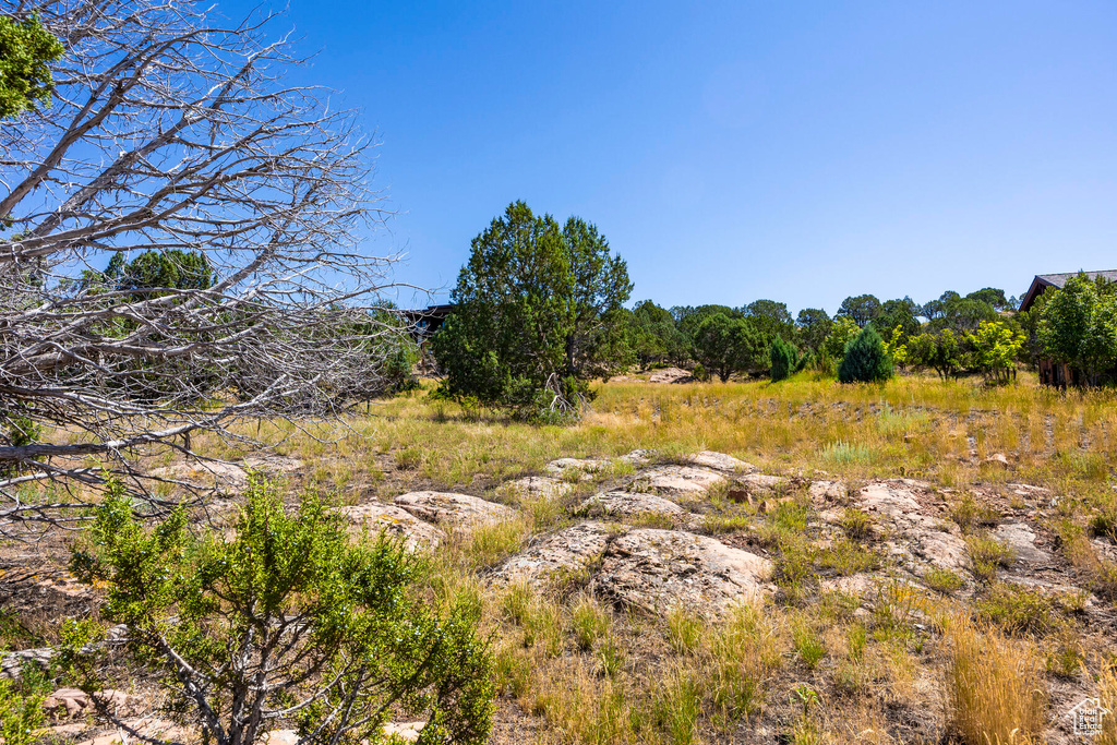 View of nature