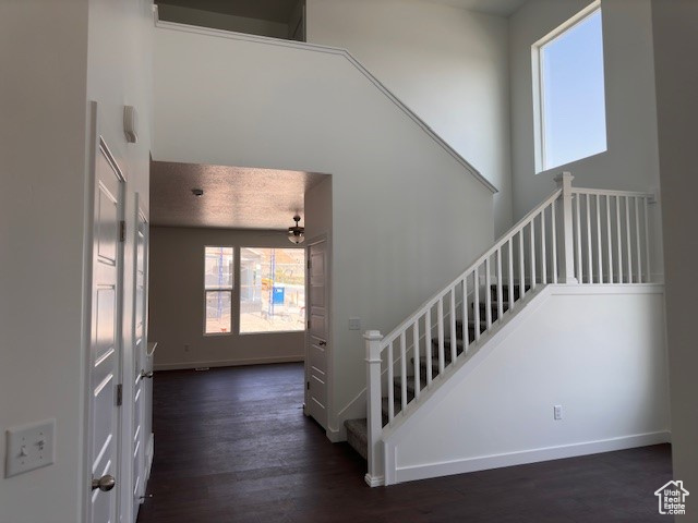 Stairs featuring a high ceiling and dark hardwood / wood-style floors