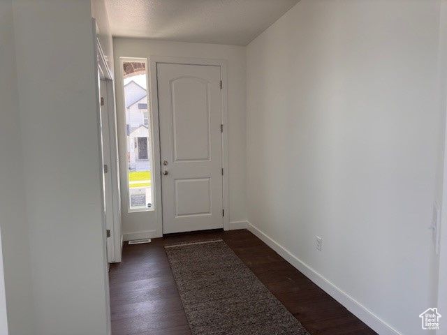 Entryway with dark hardwood / wood-style flooring