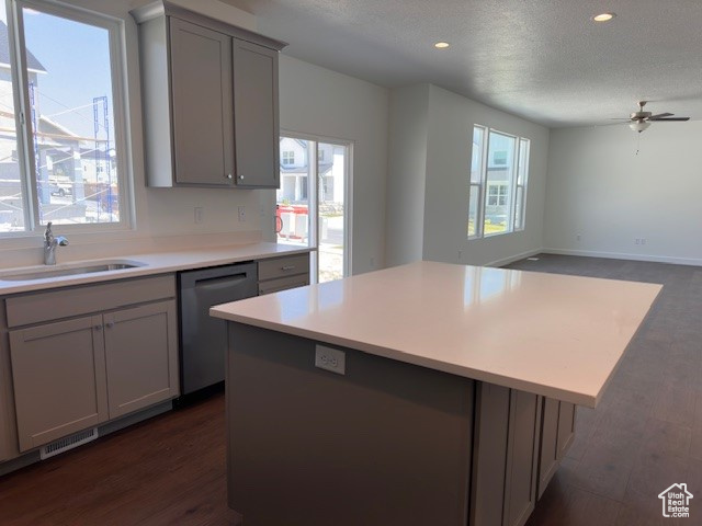 Kitchen featuring plenty of natural light, a kitchen island, dark hardwood / wood-style floors, and stainless steel dishwasher