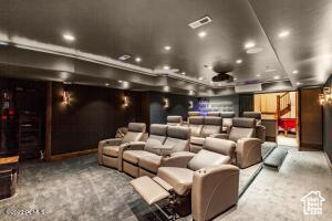 View of carpeted cinema room