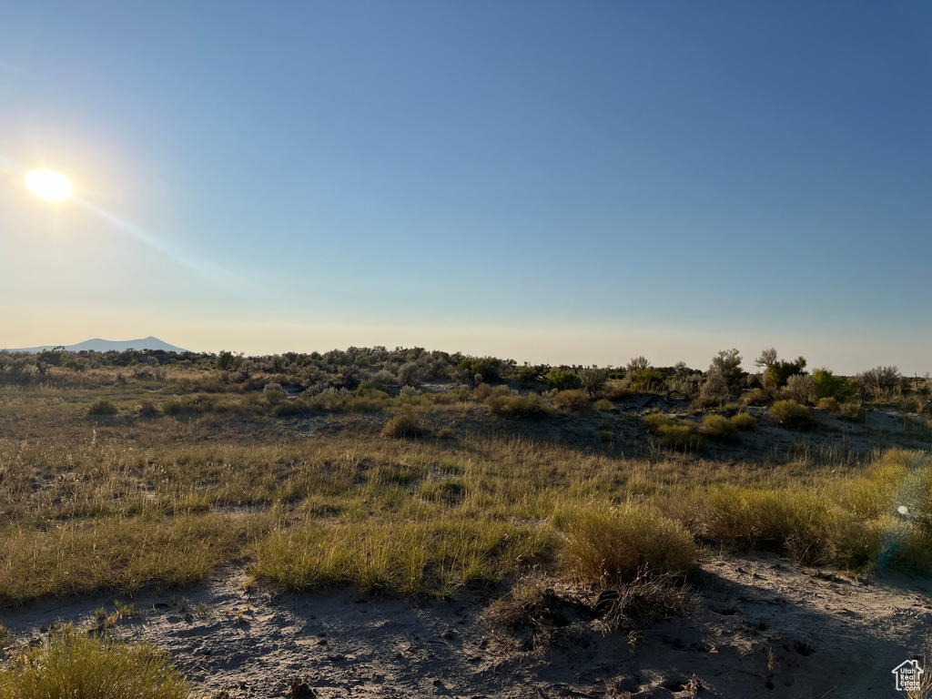 View of local wilderness with a mountain view