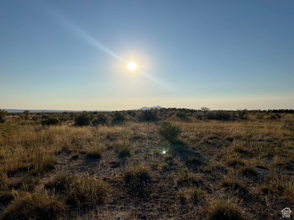 View of nature