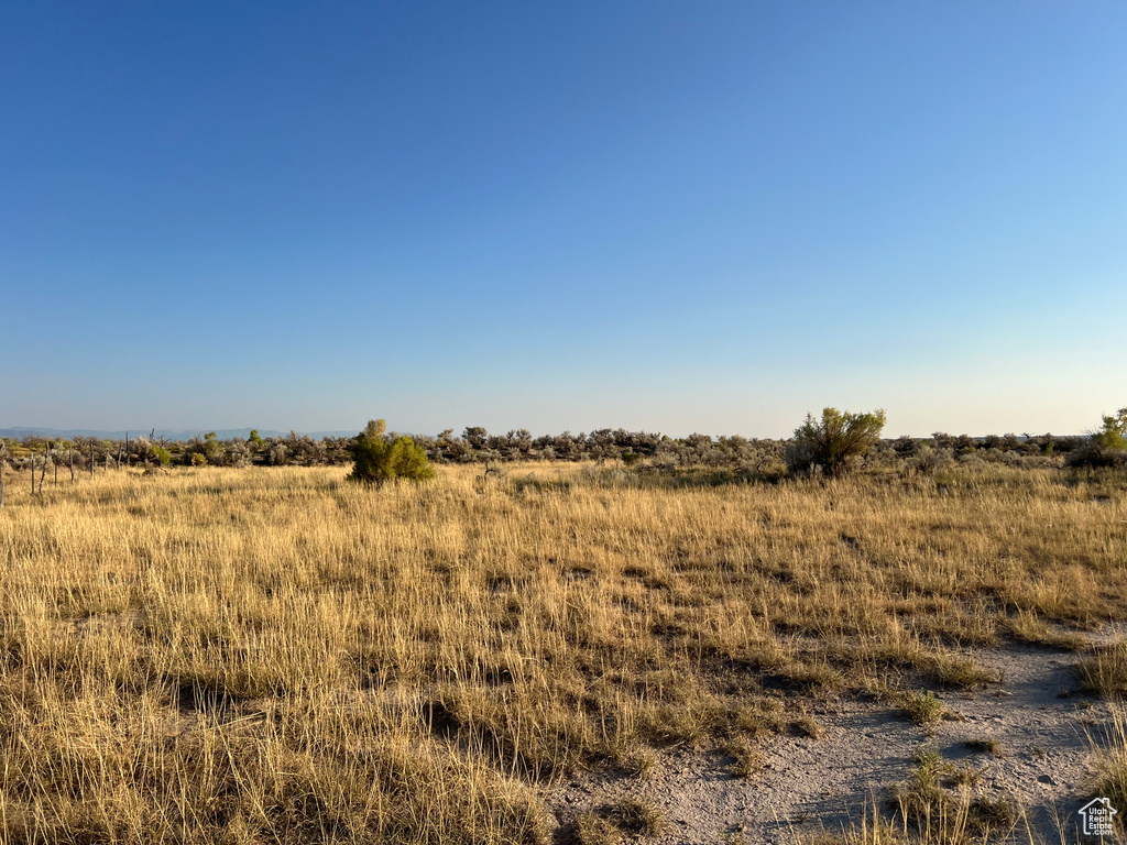 View of landscape featuring a rural view