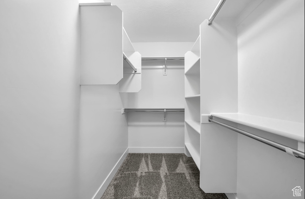 Spacious closet with dark carpet