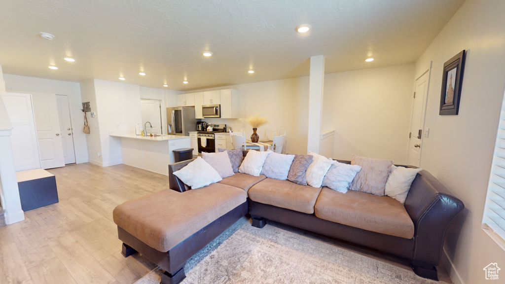 Living room with light hardwood / wood-style floors and sink