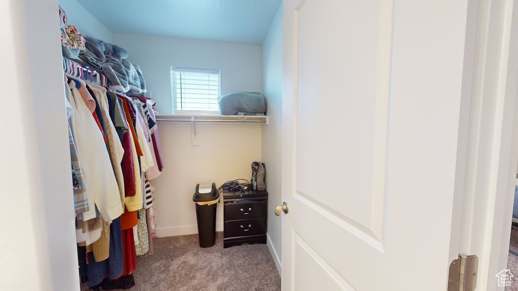 Spacious closet featuring carpet floors