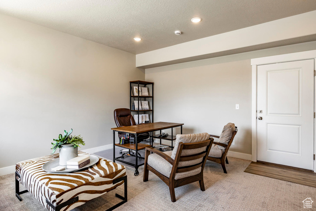 Carpeted home office with a textured ceiling