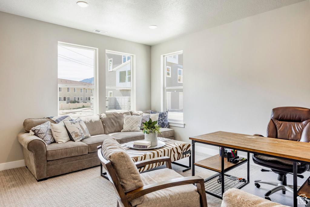 Home office featuring a textured ceiling and light colored carpet