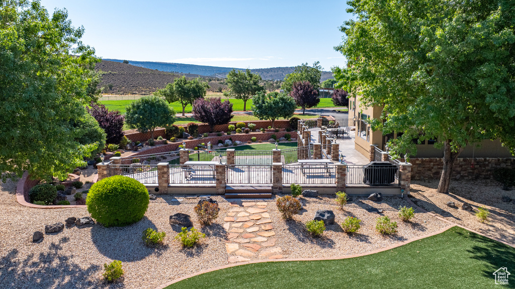 View of yard featuring a patio