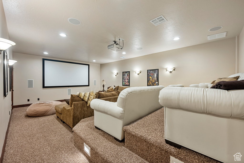 View of carpeted home theater room