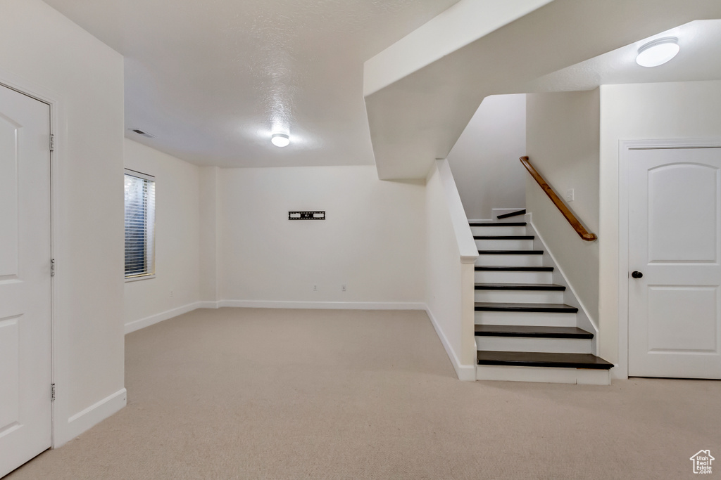 Basement with light colored carpet