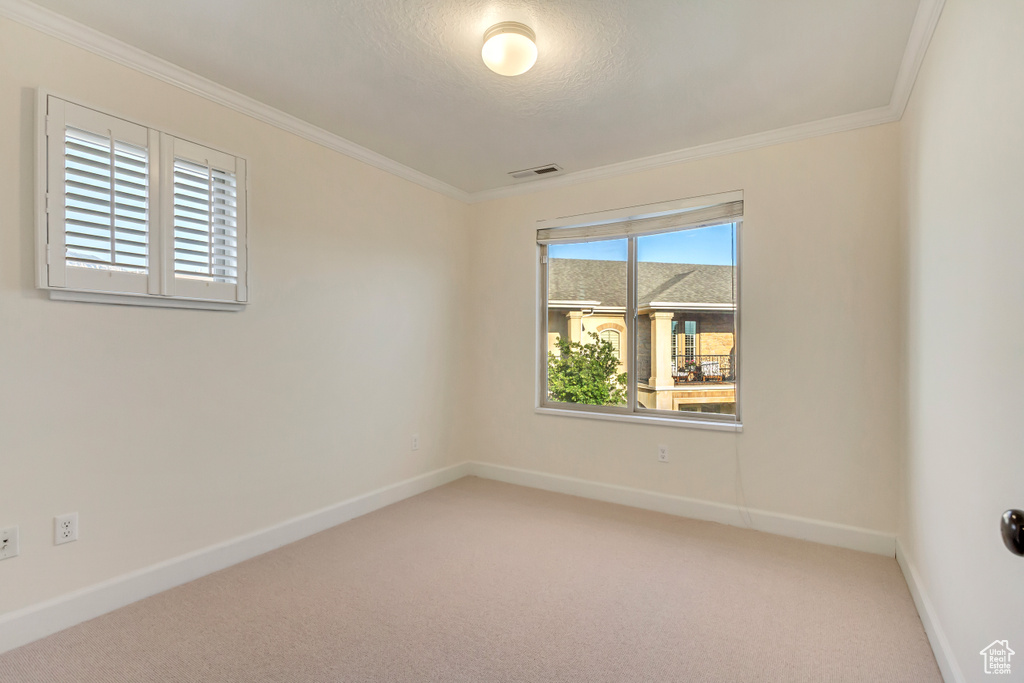 Spare room with a healthy amount of sunlight, light colored carpet, and crown molding