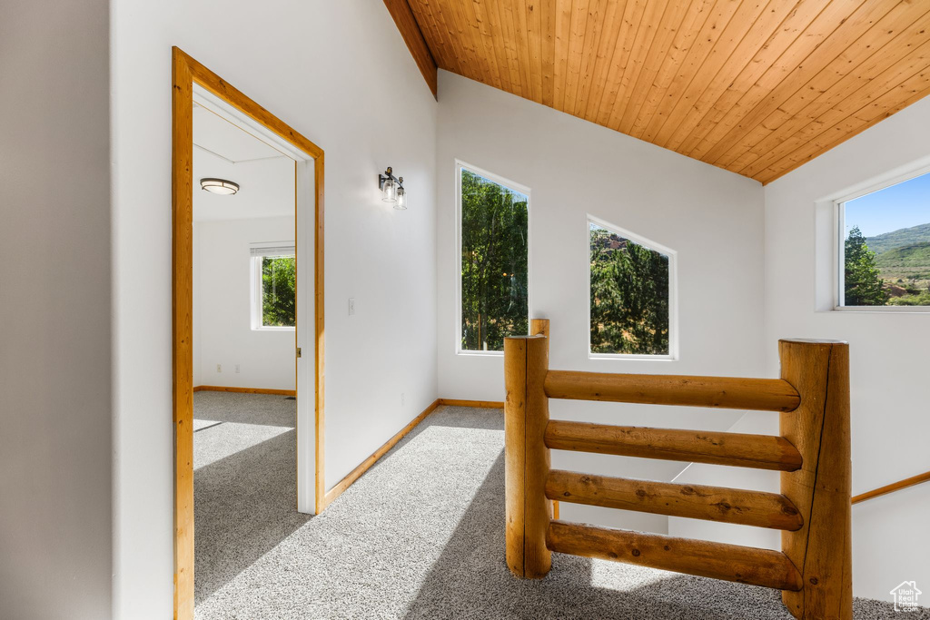 Carpeted bedroom with wood ceiling and multiple windows