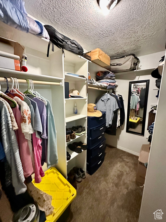 Spacious closet featuring dark colored carpet