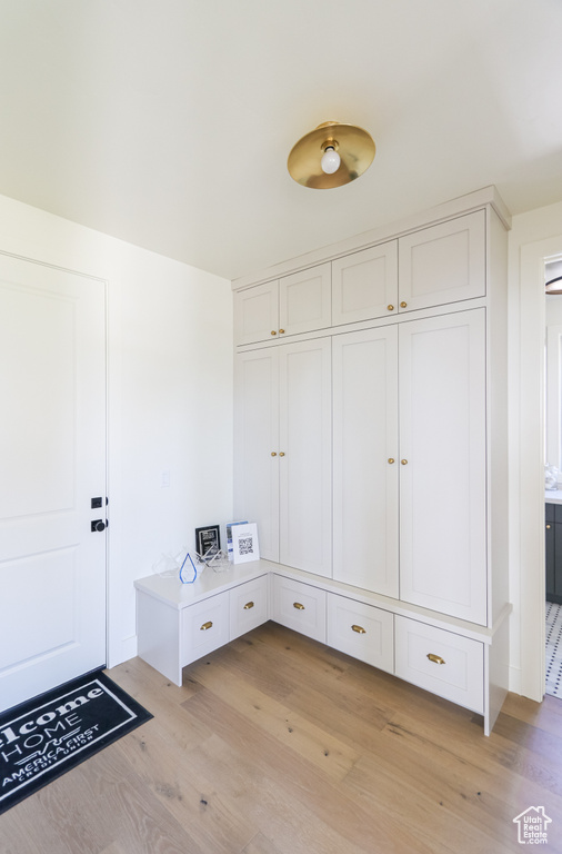 Mudroom featuring light hardwood / wood-style floors