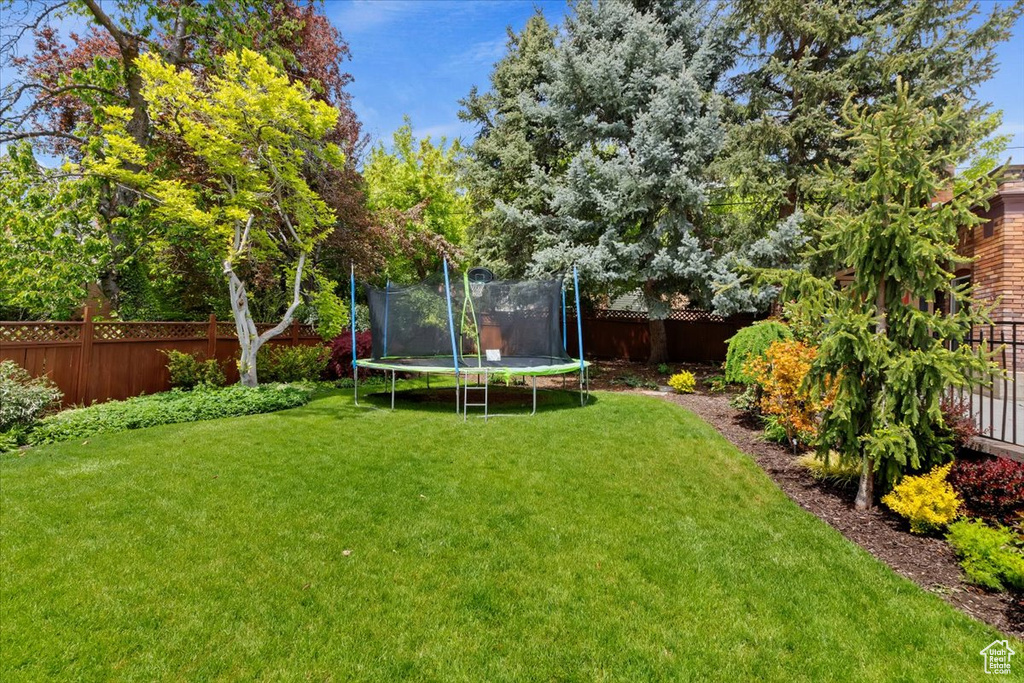 View of yard with a trampoline